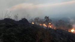 Kebakaran di Gunung Ciremai Meluas, 900 Hektare Hutan Ludes Terbakar
