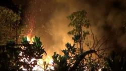 Belasan Hektare Lahan Dekat Bandara Muara Bungo Jambi Terbakar