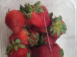 Australia Tangkap Remaja Diduga Pelaku Sabotase Jarum dalam Strawberry