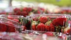 Kasus Jarum dalam Strawberry Merebak ke Selandia Baru
