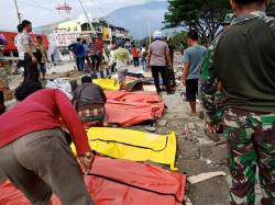 Gempa Sulteng, Korban Tewas di Palu 48 Orang, 356 Lainnya Luka-Luka