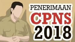BKN Beri Tenggat Waktu Pemberkasan CPNS Akhir Februari 2019