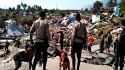 Cari Korban Tertimbun, Tim SAR dan Polri Turunkan Anjing Pelacak