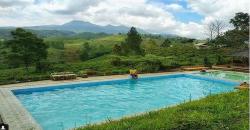 Wisata Tasikmalaya, Berenang di Tengah Perkebunan Teh Bukit Kacapi