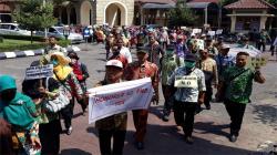 Honorer DIY Minta Seleksi CPNS Ditunda, BKD: Yang Berwenang Itu Pusat