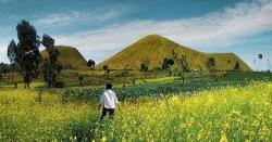 Indahnya Savana Kawah Wurung, Destinasi Instagramable di Bondowoso