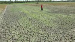 13 Kabupaten Kota Terdampak Kekeringan, BPBD Jabar Usul Penetapan Status Siaga