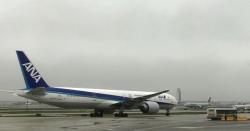 Mabuk 6 Gelas Wine, Pegawai Maskapai Pukul Penumpang di Pesawat