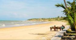 Selain Pantai Pasir Putih Situbondo, Intip 4 Wisata Eksotis di Jatim