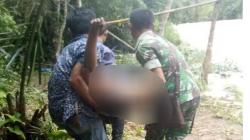Avanza Terjun ke Sungai di Madina, 1 Karyawan Bank Sumut Tewas