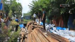 Polisi Tangkap 19 Pelaku Pembalakan Liar di Pelalawan Riau