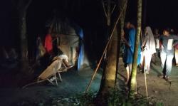 Viral, Satu Keluarga Tinggal di Hutan Pelalawan Lantaran Miskin