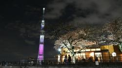 Data Alat Peredam Gempa di Ratusan Gedung di Jepang Dimanipulasi