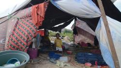 Pemerintah Tambah Beras 500 Ton untuk Korban Gempa di Sulteng