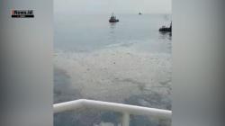 Video Lokasi Jatuhnya Pesawat Lion Air di Karawang