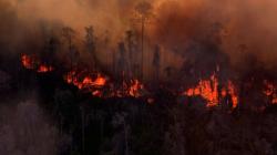 Hutan di Lereng Gunung Lemongan Lumajang Terbakar Sejak Sabtu Lalu