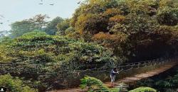 Menikmati Alam Bogor di Loji, Tempat Penangkaran Elang yang Instagenik