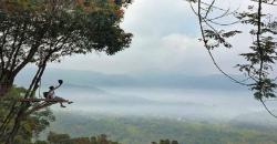 Memandang Keindahan Alam Bogor dari Puncak Mustika Manik yang Ikonik