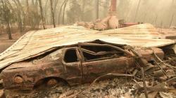 Kebakaran Hutan California: 25 Orang Tewas, 250 Ribu Warga Mengungsi