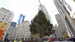 Berhias Swarovski, Pohon Natal Paling Fenomenal Dipajang di New York