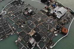 Bahan Kimia Beracun Tumpah ke Laut, 7 Warga China Ditahan