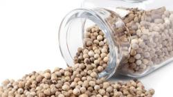 Gubernur Babel Tolak Kerja Sama dengan Amerika Serikat soal Lada Putih