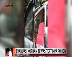 Mobil Tertimpa Pohon di Kediri, Penumpang Tewas