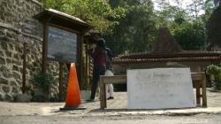 11 Korban Terluka Diserang Lebah, Wisata Gunung Nglanggeran Ditutup