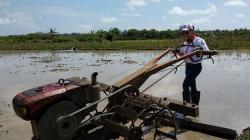 Serap Aspirasi Petani, Caleg Perempuan Perindo di DIY Ikut Bajak Sawah