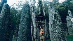 Mirip Stonehenge Inggris, Menhir Purba Ini Ternyata Ada di Toraja