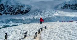 3 Negara Ini Miliki Wisata Salju Terbaik, Antartika Paling Eksotis