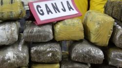 Selundupkan 25 Kg Ganja dari Aceh ke Medan, Kurir Narkoba Ditangkap