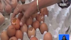 Warga Terima Bantuan Telur Busuk, Dinas Sosial Jombang Coret PT Pertani