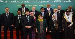 Jalin Kerja Sama dengan OKI, BPOM Jalankan Diplomasi Global