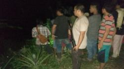 Mencuci Baju di Sungai, Ibu di Mandailing Natal Tewas Diterkam Buaya