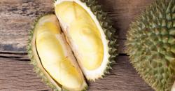 Harga Sawit Anjlok, Malaysia Genjot Ekspor Durian ke China
