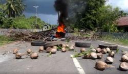 Harga Kopra Anjlok, Warga Blokade Jalan Utama di Halmahera Utara