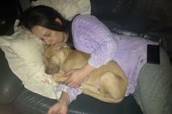 Lindungi Tamu, Perempuan Ini Malah Tewas Diserang Anjingnya Sendiri