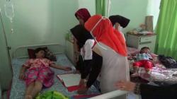 DBD Mewabah di Polewali Mandar, 8 Dirawat dan Seorang Anak Meninggal