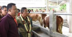 Penyaluran KUR Sentuh Rp113,6 Triliun, 70 Persen Disalurkan Bank BRI