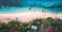 Pilihan Wisata di Wakatobi, Pepohonan Pantai Cemara Terlihat Eksotis