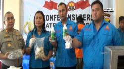 Jenis Narkoba Baru, 2 Mahasiswa Jual Kue Kukis dan Tembakau Memabukan