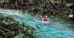 Eksotisme Kalibiru Raja Ampat, Airnya Dingin & Indah Sebening Kristal