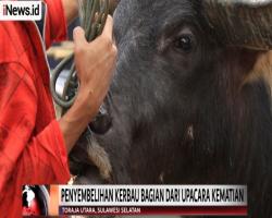 Mantunu Tedong, Upacara Penyembelihan Kerbau