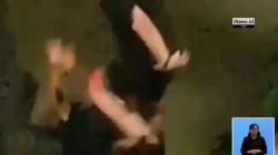 Detik-Detik Anjing Pitbull Serang Petugas Keamanan di Sawah Besar Terekam Warga