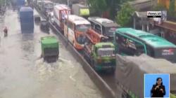 Drainase Buruk, Jalur Pantura Semarang Terendam Banjir 2 Pekan