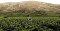 Cara Asyik Menikmati Sunrise Pertama 2019 dari Puncak Bromo