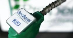 Harga Biodiesel November Turun Jadi Rp7.157 per Liter
