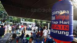 Murai, Jalak dan Cucak Rawa Bukan Lagi Satwa Dilindungi