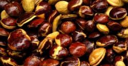 Curi Jengkol, 2 Pemuda Babak Belur Dihajar Massa